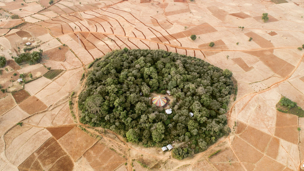 Crkvene šume u Etiopiji